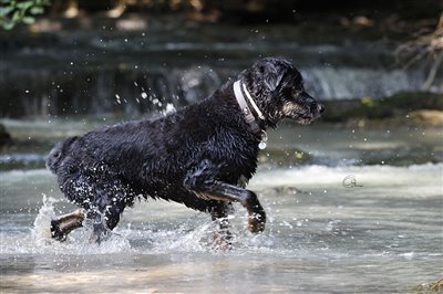 Sommer - Badespass im Juli 2015