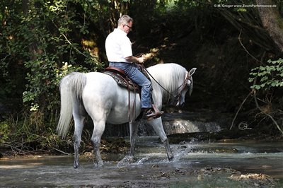 Sommer - Amurath Mofeedah am Bach Juli 2015