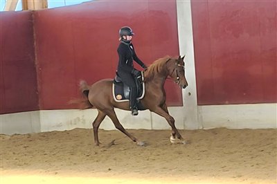 Amurath Jamillah November 2025