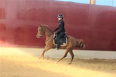 Amurath Jamillah November 2025