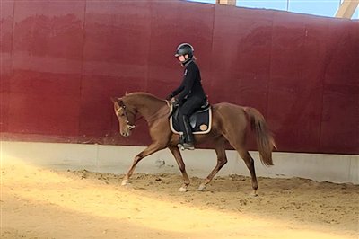 Amurath Jamillah November 2025