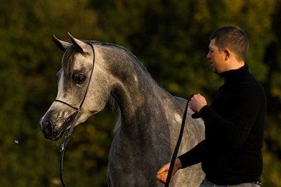 Amurath Nawal Oktober 2025