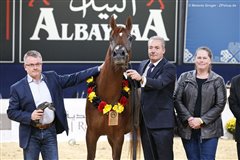 Angel Afrikhan Queen Nationales Championat Aachen 2017