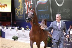 Angel Afrikhan Queen Nationales Championat Aachen 2017