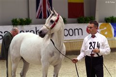 Shalom Nationales Championat Aachen 2007