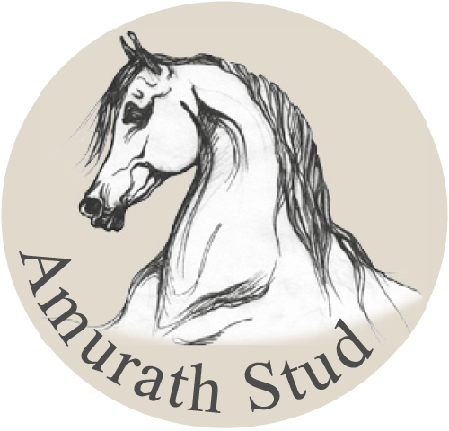 Logo Gestüt Amurath